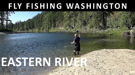 american river fishing report|washington river fishing reports.